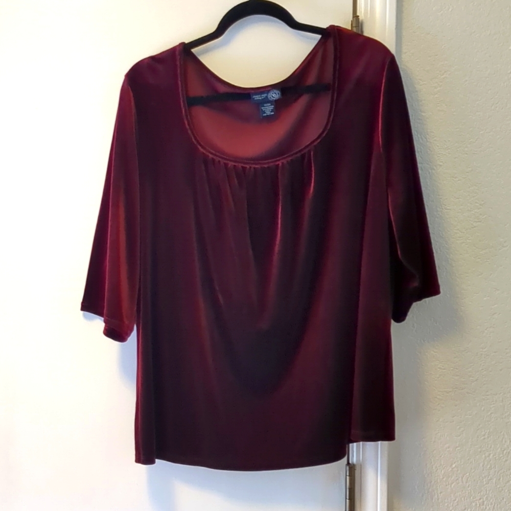 Venezia Lane Bryant Velvet Top - 18/20